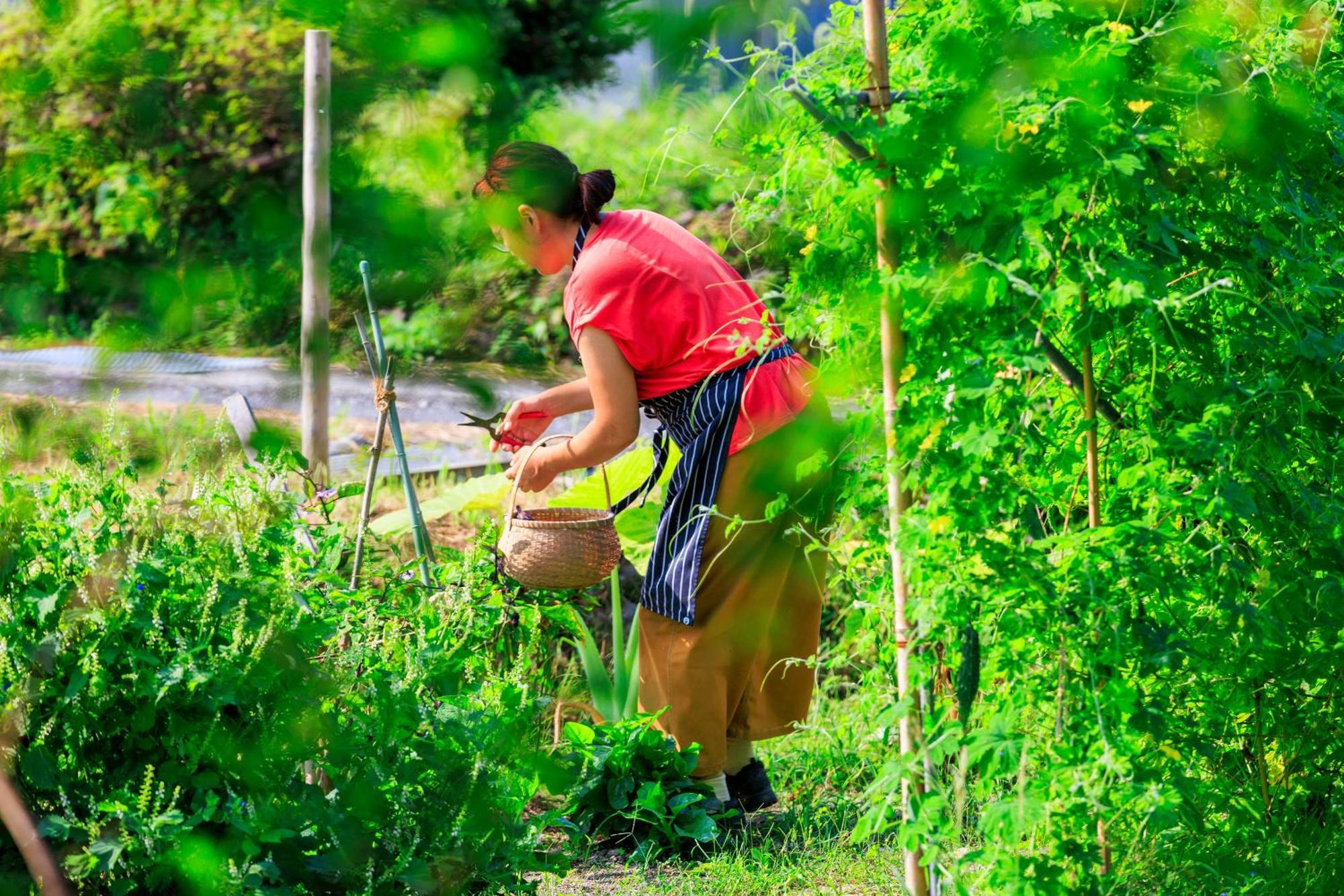 Nook's Kitchen: Japanese Game Meat Lodge Kami  Exterior photo